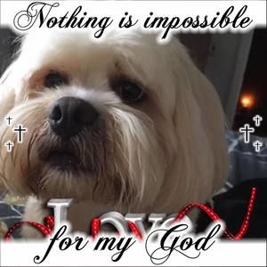 Meet your Posher, Sandi